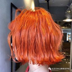 -Every Day Hair Studio