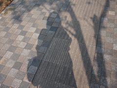 -美兰湖景区