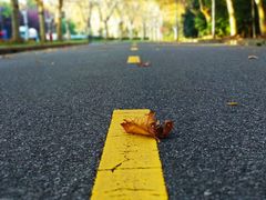 -中国浦东干部学院