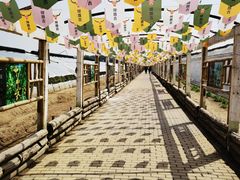 -呀路古热带植物园