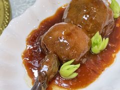 -丁老爷子苏香圆