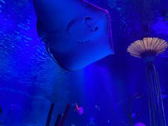 -沈阳海洋探索中心