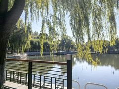 -黛秀湖公园