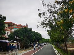 -红山村