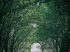-蠡湖中央公园