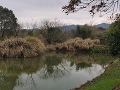 -西溪国家湿地公园