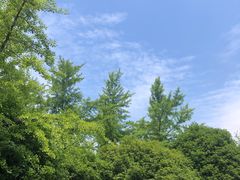 -梁鸿国家湿地公园