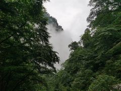 -青峰峡国家森林公园