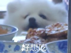 -张大师鸭爪爪特色火锅(万达店)