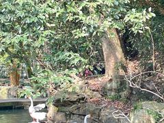-兰亭风景区