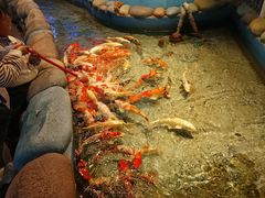 -常州海昌海洋探索馆