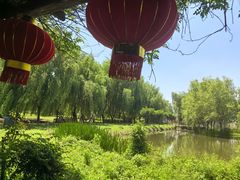 -同銮特种养殖场·龙虾垂钓