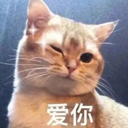 点击看大图 -镁连社·美联社