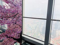 -上海环球金融中心云端足球盛典