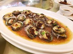 蒜蓉鲍鱼-金时代顺风大酒店(协泰店)