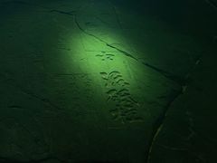 -白鹤梁水下博物馆