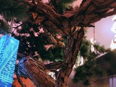 -桂满陇·蟹黄小笼汤包(中山公园店)