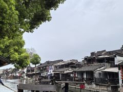 -西塘人家•黑金冠本地好店