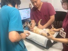 -艾贝尔宠物医院 ·中兽医·宠保定点(北门桥店)