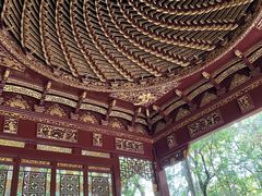 -汇龙潭