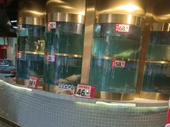 -蜀滋香鲜鱼美蛙火锅(339店)