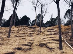 -南翠屏公园