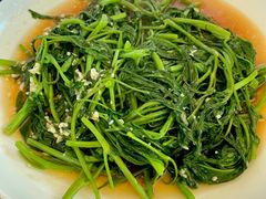 清炒空心菜-云生海鲜楼