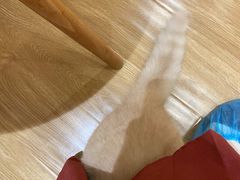 -滚猫咖啡·猫咖·猫友好撸猫(未来城店)