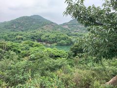 -白马涧龙池景区