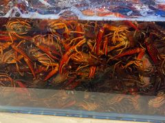 -海天盛宴潮汕蒸汽海鲜高端自助形象店