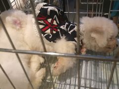 -远洋未来广场(育慧北路店)