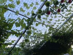 -伊隆斋(什刹海店)