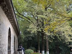 -灵谷景区
