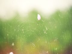 -渭南桃花源民俗文化园