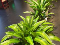 -峨嵋酒家(牡丹园店)