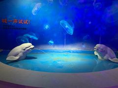 -泉城欧乐堡海洋极地世界