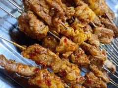 -清真·马峰烤肉(小学习北巷店)