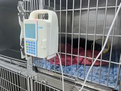 -萌兽医馆·宠物医院·猫骨科(创景店)