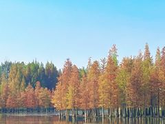 -白鹭湾湿地公园