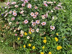 -东莞植物园