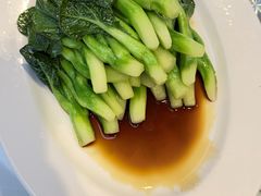 -正兴蜀园(科技园区店)