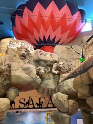 -卡通尼·Safari非洲探索乐园·生日会(金桥国际商业广场店)