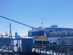 -丹东路渡口(轮渡站)