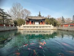 -百脉泉景区