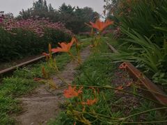 -永定河休闲森林公园