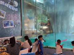 -帝企鹅自助餐厅•儿童岛•真企鹅(长隆企鹅酒店)