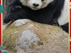 -海南热带野生动植物园
