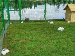 -云南滇池花园国际大酒店温泉