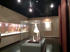 -四川宋瓷博物馆