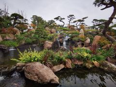 -罗红摄影艺术馆